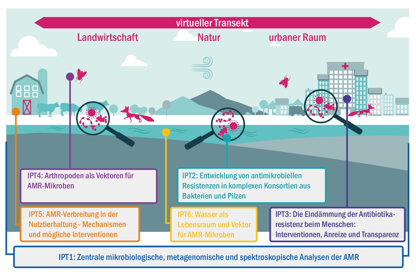 INFECTIONS Antrag Grafik v5 bunt rahmen grau Webseite 2022 12